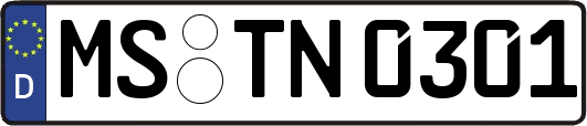 MS-TN0301