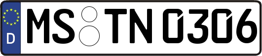 MS-TN0306