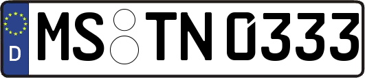 MS-TN0333