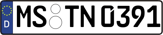 MS-TN0391
