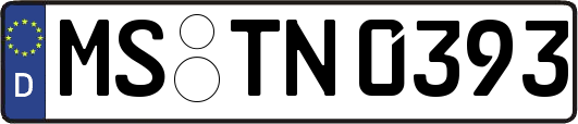 MS-TN0393