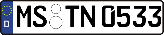 MS-TN0533
