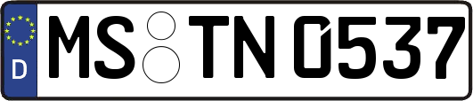 MS-TN0537