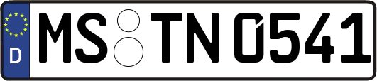 MS-TN0541