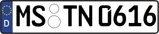 MS-TN0616