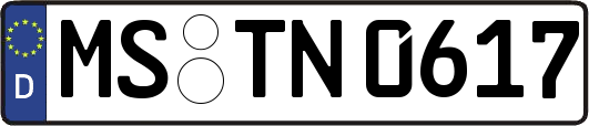 MS-TN0617