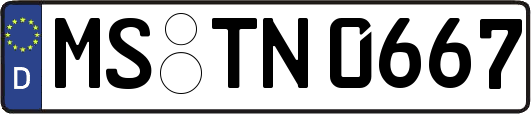 MS-TN0667