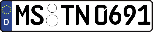 MS-TN0691