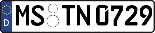 MS-TN0729