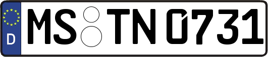 MS-TN0731