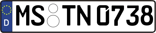 MS-TN0738