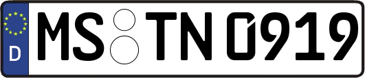 MS-TN0919