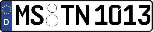 MS-TN1013
