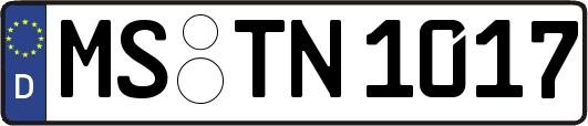 MS-TN1017