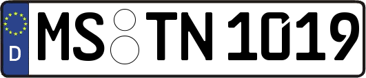 MS-TN1019