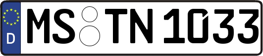 MS-TN1033
