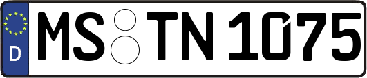 MS-TN1075