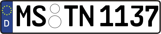MS-TN1137