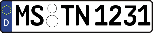MS-TN1231