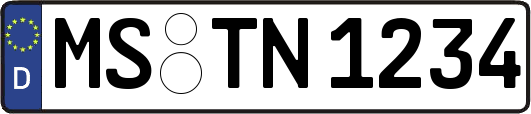 MS-TN1234