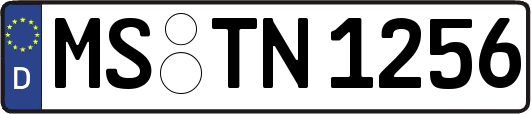 MS-TN1256