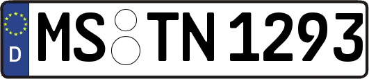 MS-TN1293