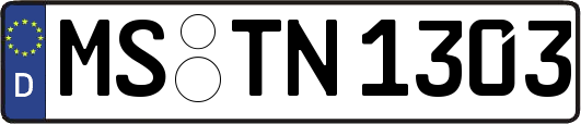 MS-TN1303