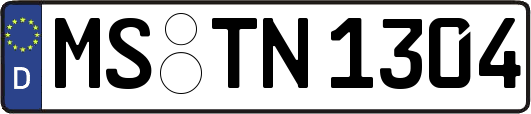 MS-TN1304