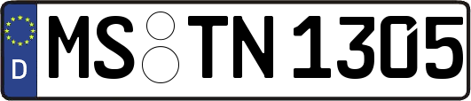MS-TN1305