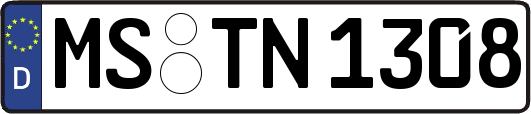 MS-TN1308