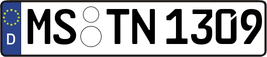 MS-TN1309