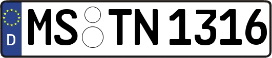 MS-TN1316