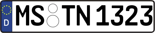MS-TN1323