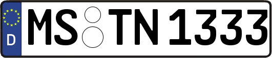 MS-TN1333
