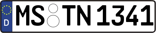 MS-TN1341