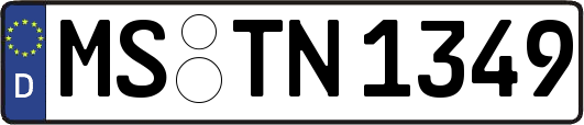 MS-TN1349