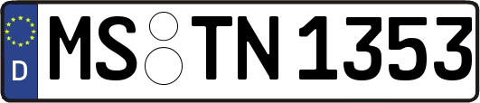 MS-TN1353