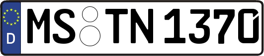MS-TN1370