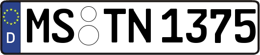 MS-TN1375