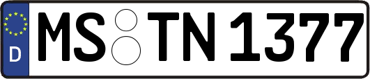 MS-TN1377