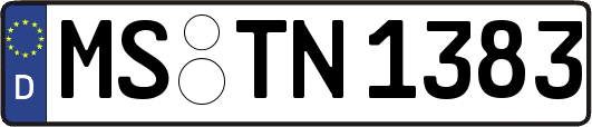 MS-TN1383