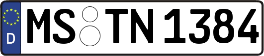 MS-TN1384
