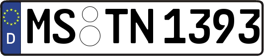 MS-TN1393