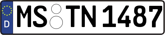 MS-TN1487