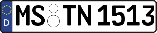 MS-TN1513