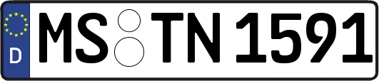 MS-TN1591