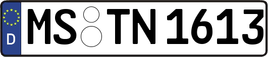 MS-TN1613