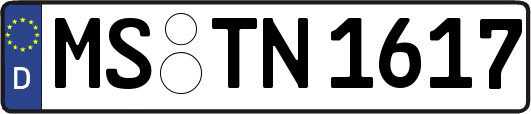 MS-TN1617