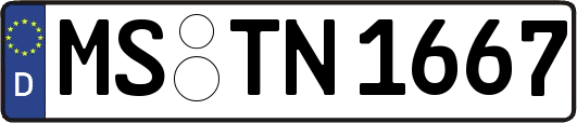 MS-TN1667