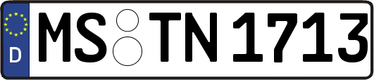 MS-TN1713